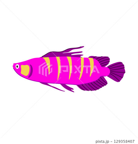 tetra exotic fish cartoon vector illustration 129358407
