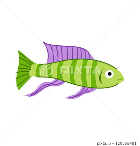 discus decorative fish cartoon vector illustration 129358481