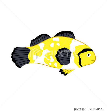 vibrant clown fish cartoon vector illustration vibrant clown fish cartoon vector illustration 129358540