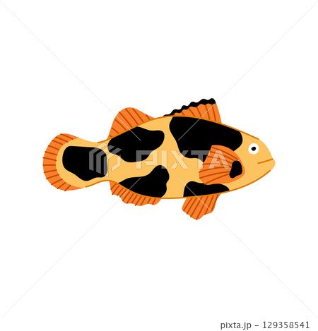 species clown fish cartoon vector illustration species clown fish cartoon vector illustration 129358541