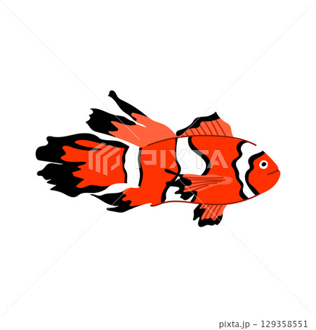 anemone clown fish cartoon vector illustration anemone clown fish cartoon vector illustration 129358551