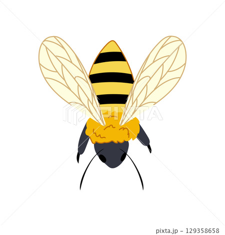 worker bee cartoon vector illustration worker bee cartoon vector illustration 129358658