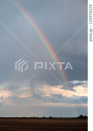 Vertical shot of rainbow over agricultural field. Bright colourful sky after the rain with rainbow Vertical shot of rainbow over agricultural field. Bright colourful sky after the rain with rainbow 129359228