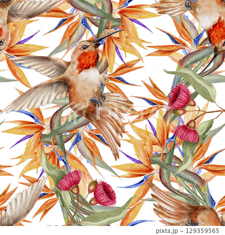 Seamless watercolor pattern with hummingbirds bird of paradise flowers eucalyptus pods and tropical leaves. for fabric wallpaper eco packaging summer branding stationery and jungle-themed products. 129359565