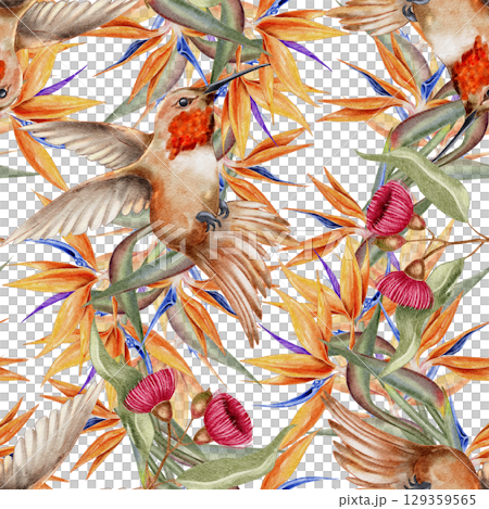 Seamless watercolor pattern with hummingbirds bird of paradise flowers eucalyptus pods and tropical leaves. for fabric wallpaper eco packaging summer branding stationery and jungle-themed products. 129359565