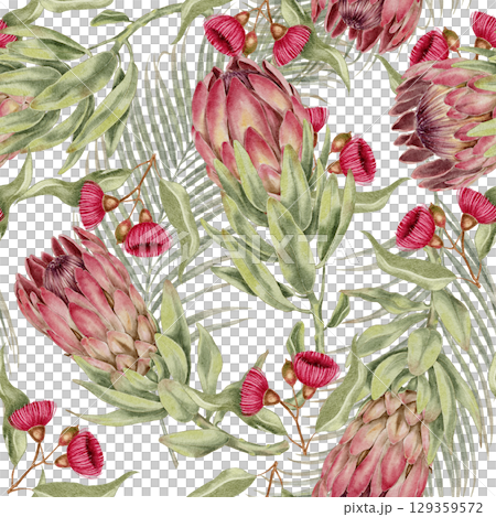 Seamless watercolor pattern with pink protea flowers, eucalyptus gum blossoms, and palm leaves in botanical tropical style. for eco packaging fabric wallpaper cosmetics and jungle-themed branding. 129359572