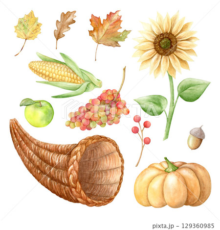 Watercolor set for Thanksgiving: cornucopia, falling leaves, pumpkin, apple, grapes, sunflower and more. Hand drawn illustration, isolated on white background. Ideal for menu, cooking, packaging, card 129360985
