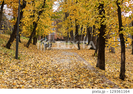 Tranquil autumn park with a pathway covered in golden leaves 129361164