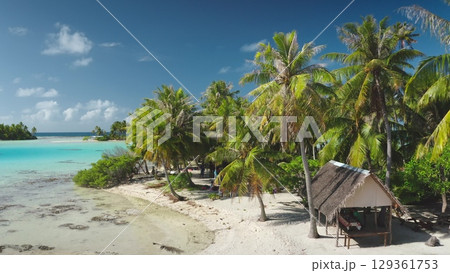 French Polynesia, Rangiroa island: Lush green palm trees line the pristine white sand beach of Rangiroa, French Polynesia, tranquil turquoise lagoon. Wild nature travel landscape. Drone flight French Polynesia, Rangiroa island: Lush green palm trees line the pristine white sand beach of Rangiroa, French Polynesia, tranquil turquoise lagoon. Wild nature travel landscape. Drone flight 129361753