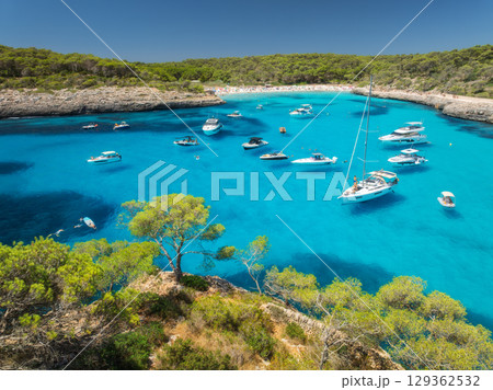 Aerial view. Yachts anchored in turquoise sea bay with pine trees 129362532