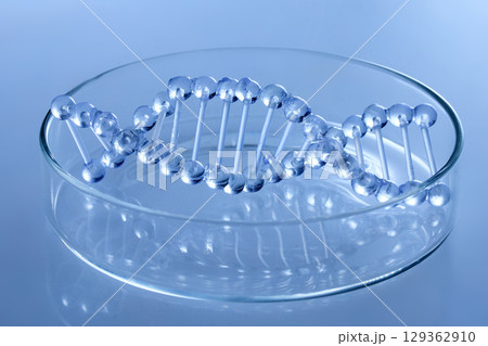 Abstract cosmetic laboratory. Chemical laboratory research. Cosmetic Essence. DNA Model in Petri Dish. 129362910