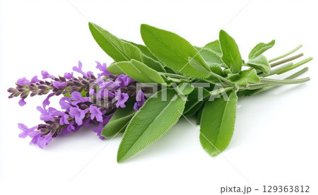 The Beauty Of Summer The Beauty Of Summer 129363812