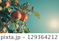 Close 129364212