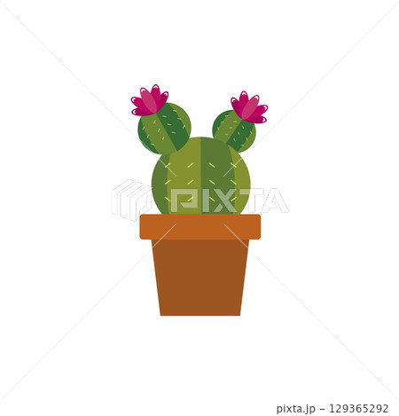 Blooming cactus in brown pot. Vector 129365292