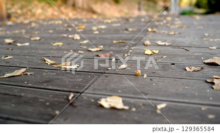 Dry leaves falling on wooden pathway in autumn Dry leaves falling on wooden pathway in autumn 129365584