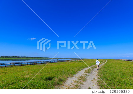青空の下、まっすぐに伸びる道 青空の下、まっすぐに伸びる道 129366389