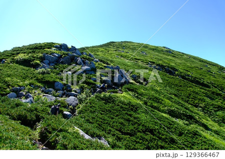 山頂へと続く登山道 山頂へと続く登山道 129366467