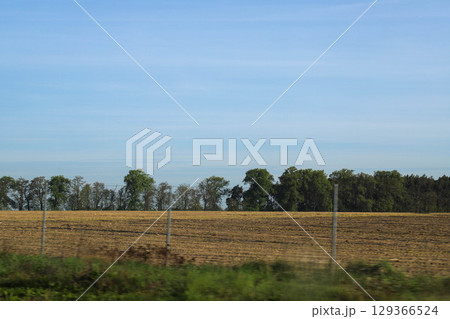 Scenic Agricultural Fields in Spring Light 129366524