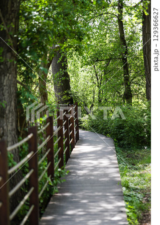 Wooden Pathway Through Green Park 129366627