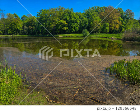 Peaceful lake shore with natural vegetation and sky reflection 129366648
