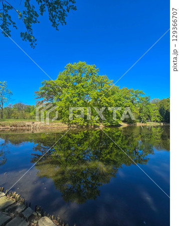 River View Flowing Through a Spring Park 129366707