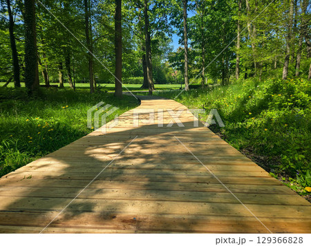 Winding Park Paths in Scenic Green Landscape 129366828