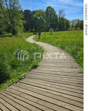 Winding Park Paths in Scenic Green Landscape 129366832