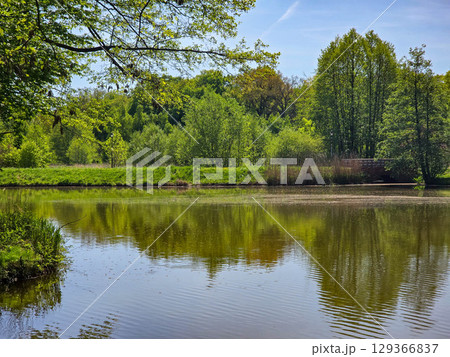 Tranquil River Landscape on a Sunny Day Tranquil River Landscape on a Sunny Day 129366837