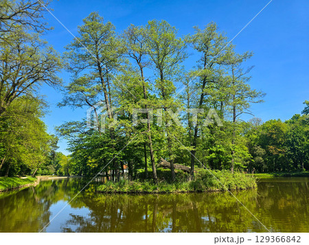 Tranquil River Landscape on a Sunny Day 129366842
