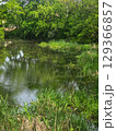 Tranquil Reflections on a Black Lake 129366857