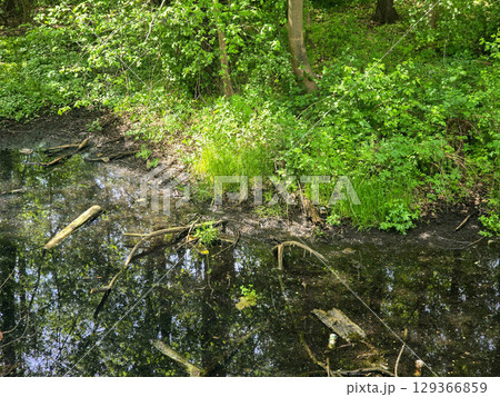 Tranquil Reflections on a Black Lake 129366859