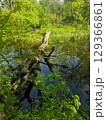 View of the Mysterious Black Lake 129366861