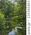 View of the Mysterious Black Lake 129366863