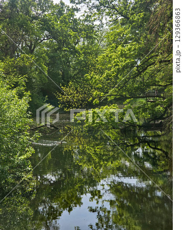 View of the Mysterious Black Lake 129366863