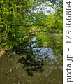 View of the Mysterious Black Lake 129366864