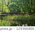 View of the Mysterious Black Lake 129366866