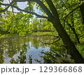 View of the Mysterious Black Lake 129366868