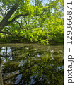 View of the Mysterious Black Lake 129366871