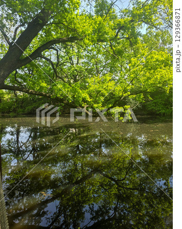 View of the Mysterious Black Lake 129366871