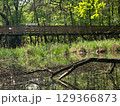 View of the Mysterious Black Lake 129366873
