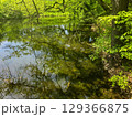 View of the Mysterious Black Lake 129366875