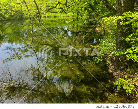 View of the Mysterious Black Lake 129366875