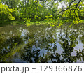 View of the Mysterious Black Lake 129366876