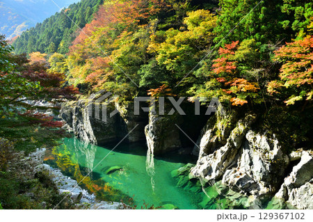 紅葉に染まる祖谷渓谷 129367102