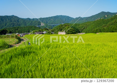 《農村風景》夏の坂本棚田（三重県 亀山市） 129367200