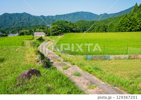 《農村風景》夏の坂本棚田(三重県 亀山市) 《農村風景》夏の坂本棚田(三重県 亀山市) 129367201