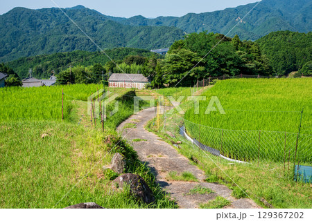 《農村風景》夏の坂本棚田(三重県 亀山市) 《農村風景》夏の坂本棚田(三重県 亀山市) 129367202