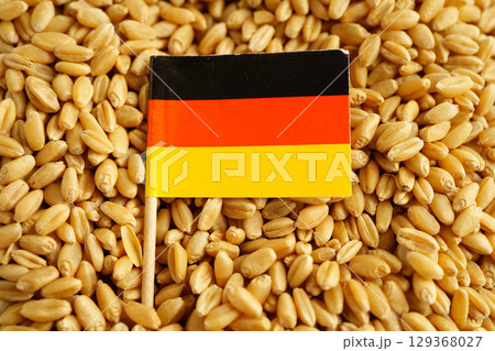 Germany flag on grain wheat, trade export and economy concept. 129368027