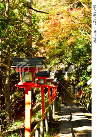 牛若丸ゆかりの寺 鞍馬寺の紅葉 牛若丸ゆかりの寺 鞍馬寺の紅葉 129368049
