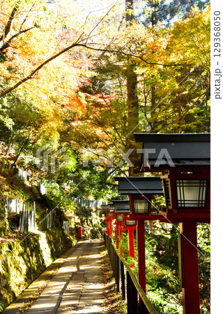 牛若丸ゆかりの寺 鞍馬寺の紅葉 129368050